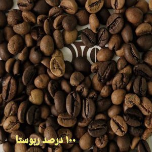 های 100 ربوستا